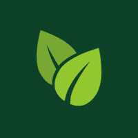 The Passionate Auk Logo