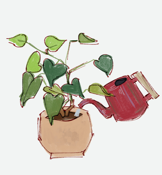green plant being watered by red watering can